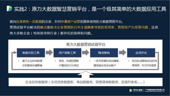 精準賦能，價值引領 原力大數據榮獲2017中國國際大數據大會精準營銷最佳解決方案獎
